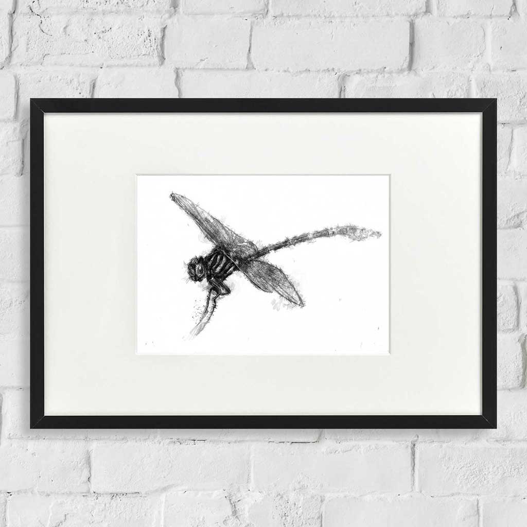 Dragonfly