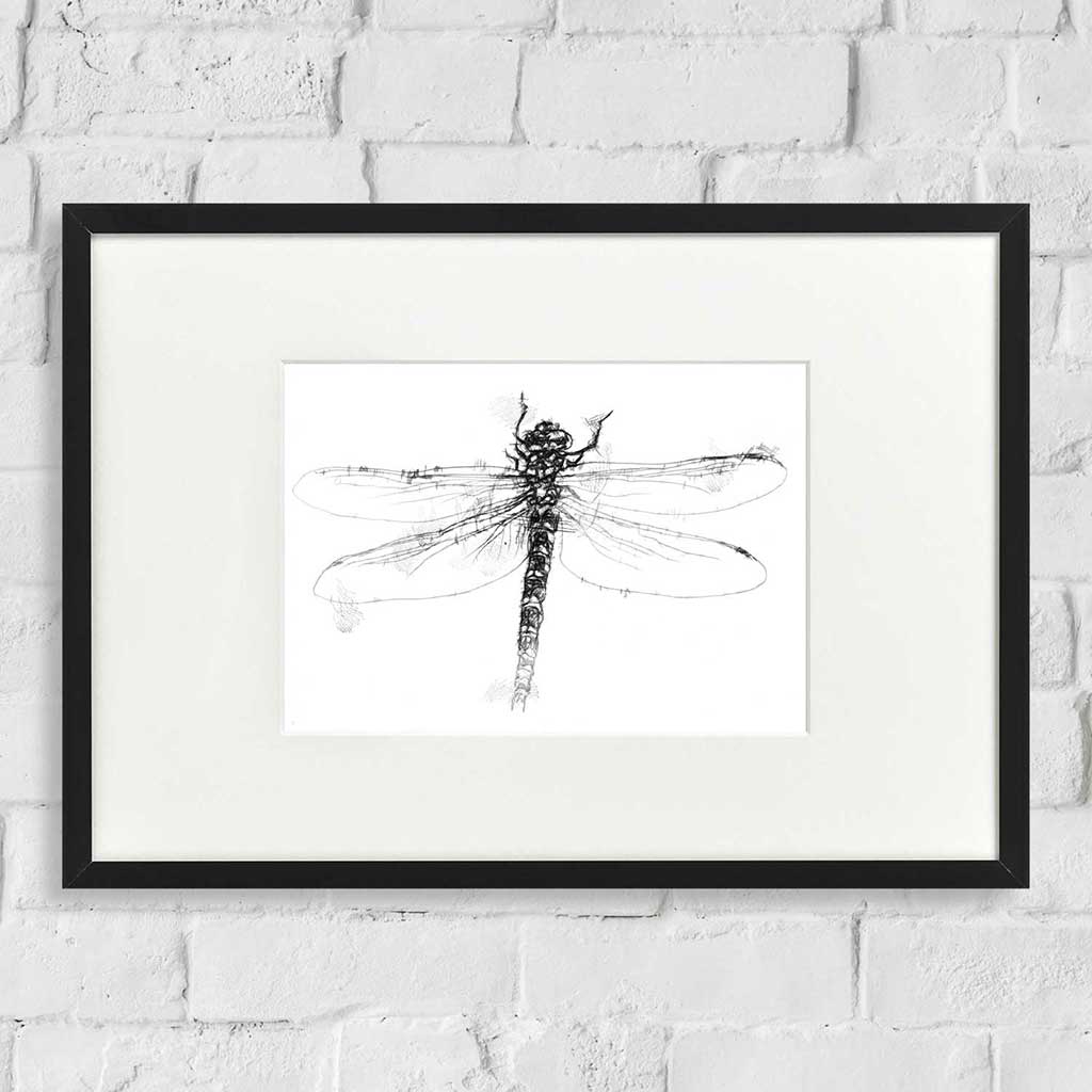 Dragonfly