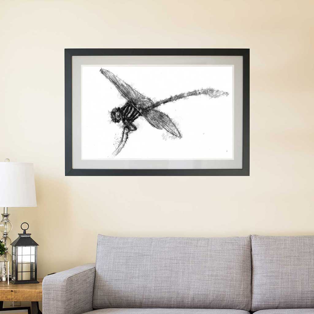 Dragonfly