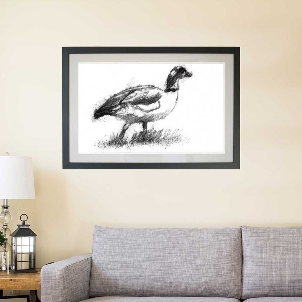 Duck