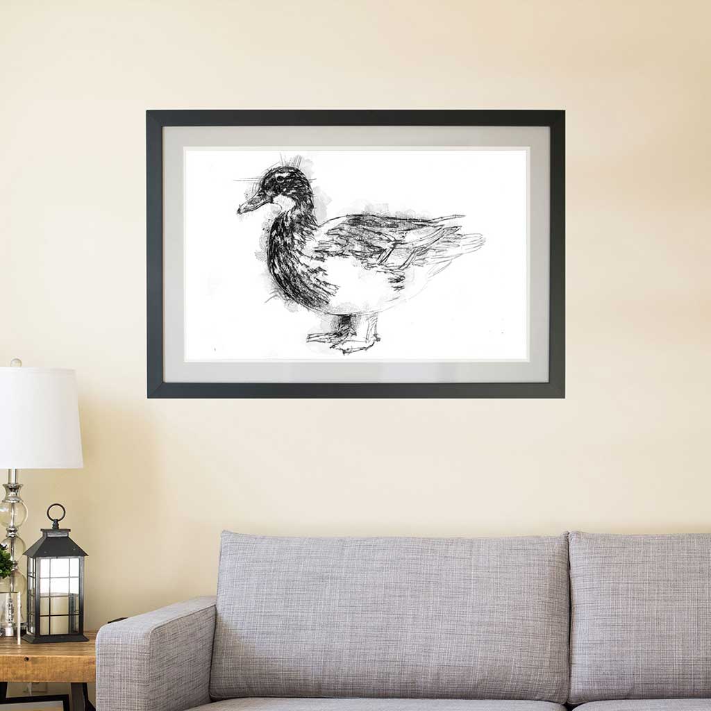 Duck