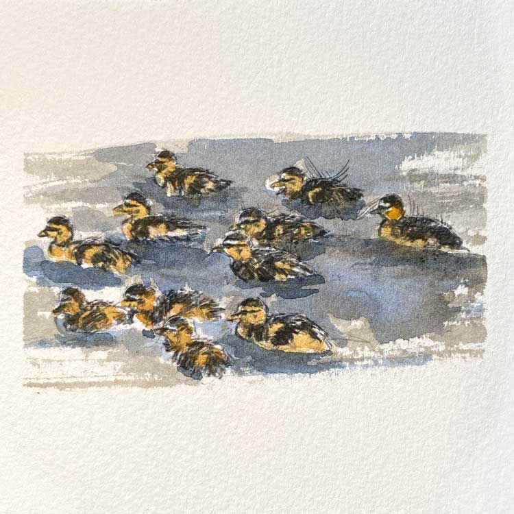 Ducklings original mini sketch