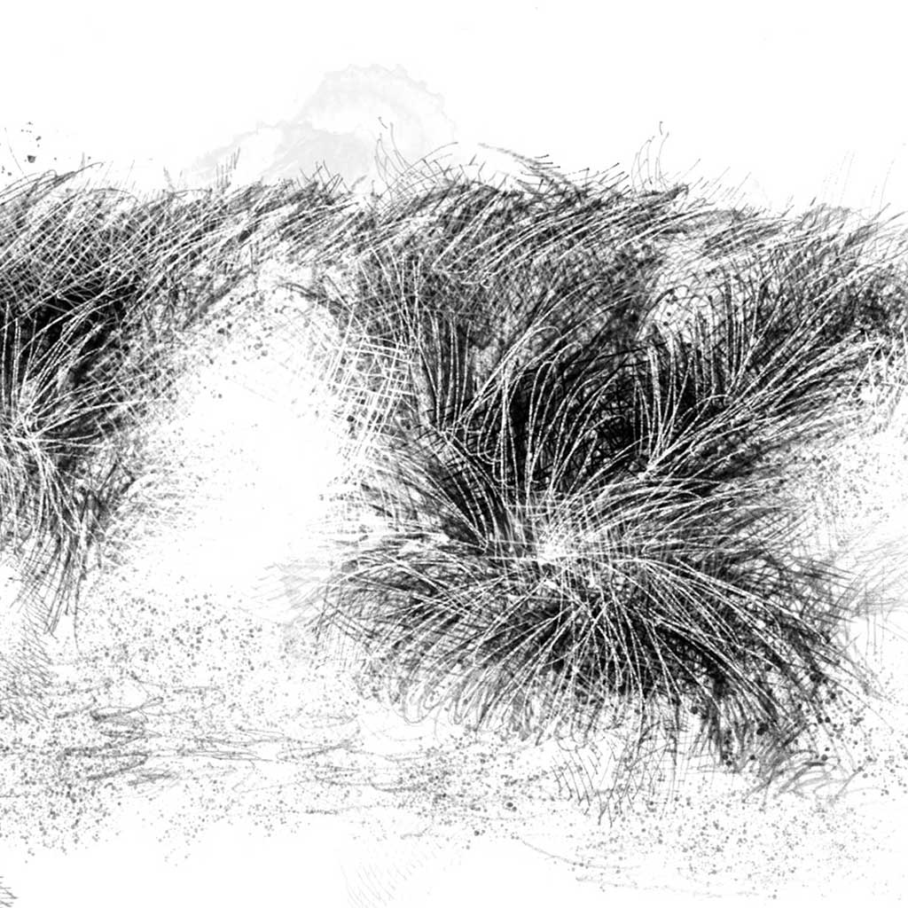 Dunes