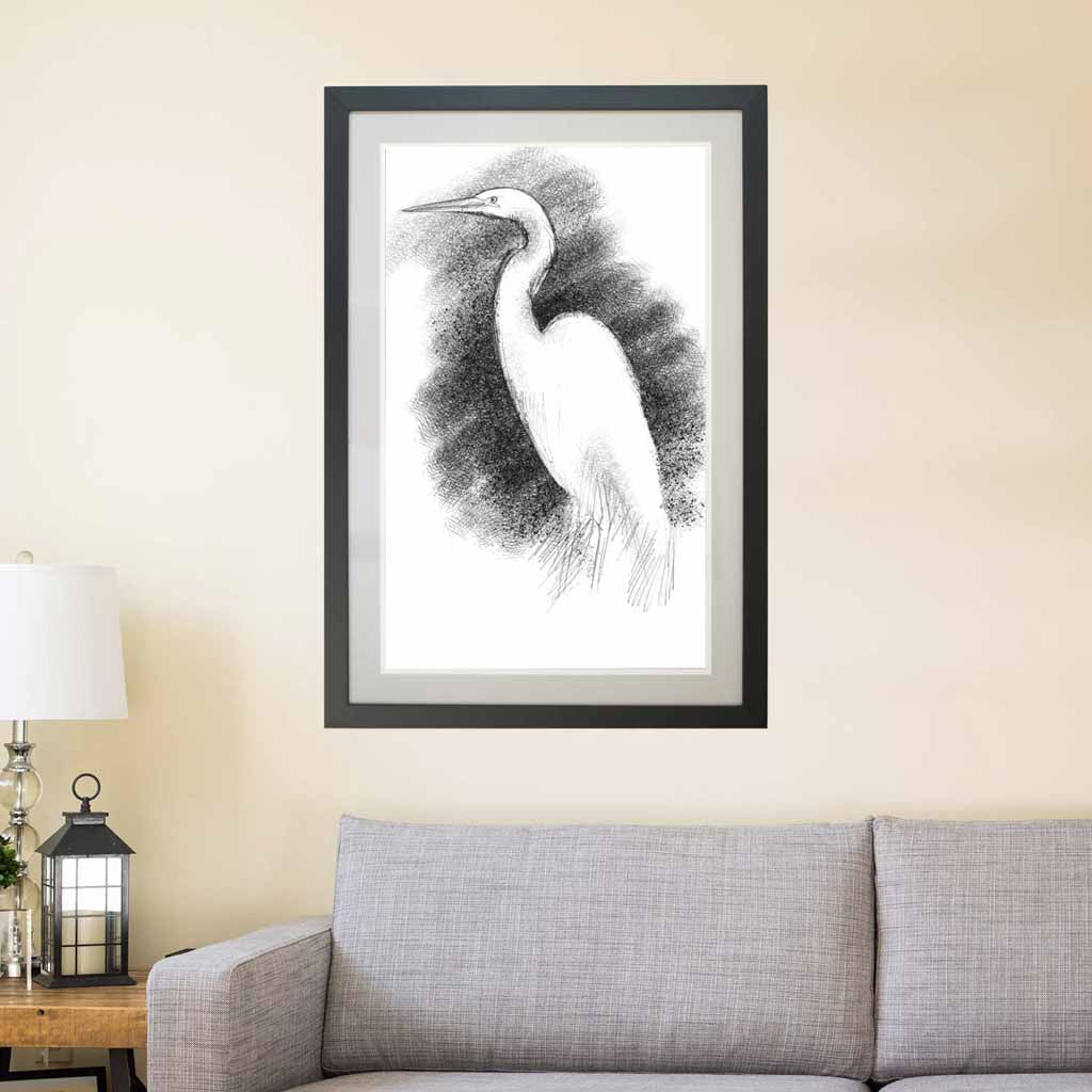 White egret