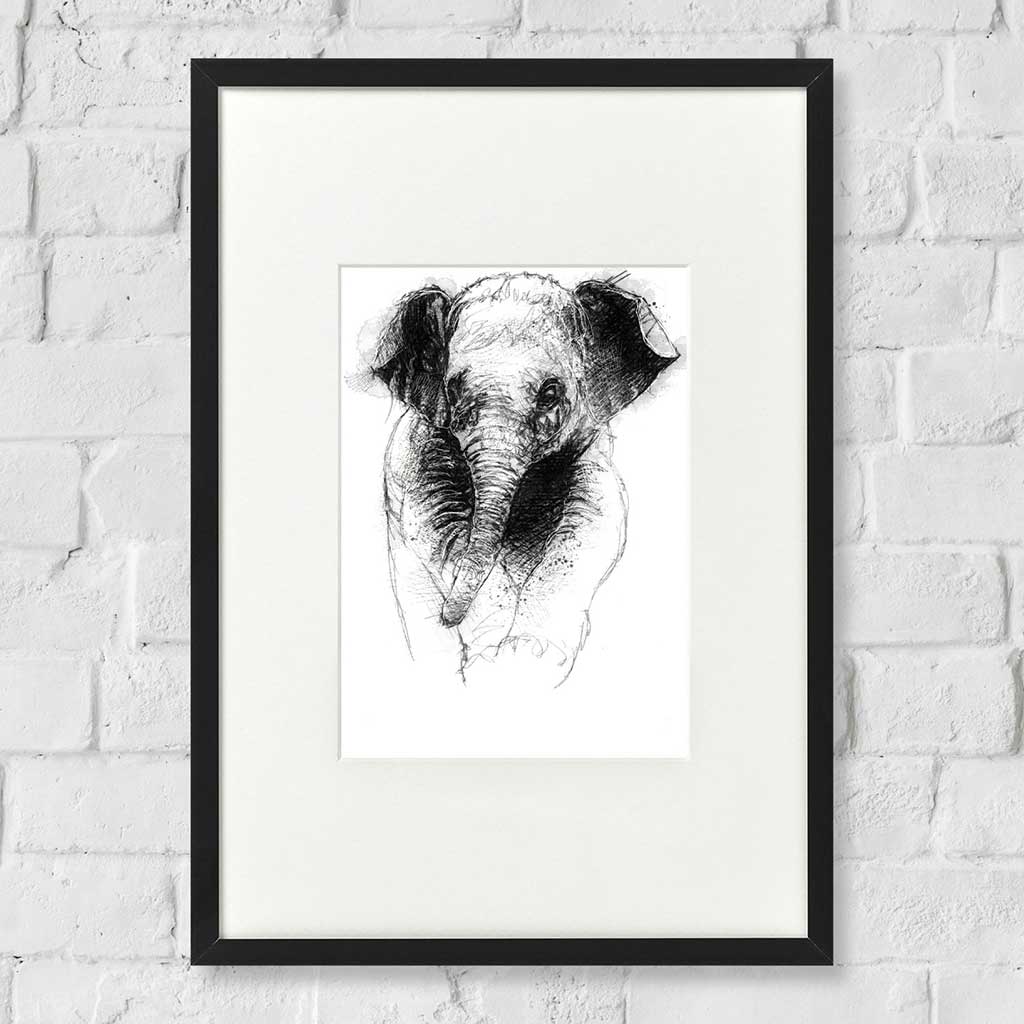 Baby elephant