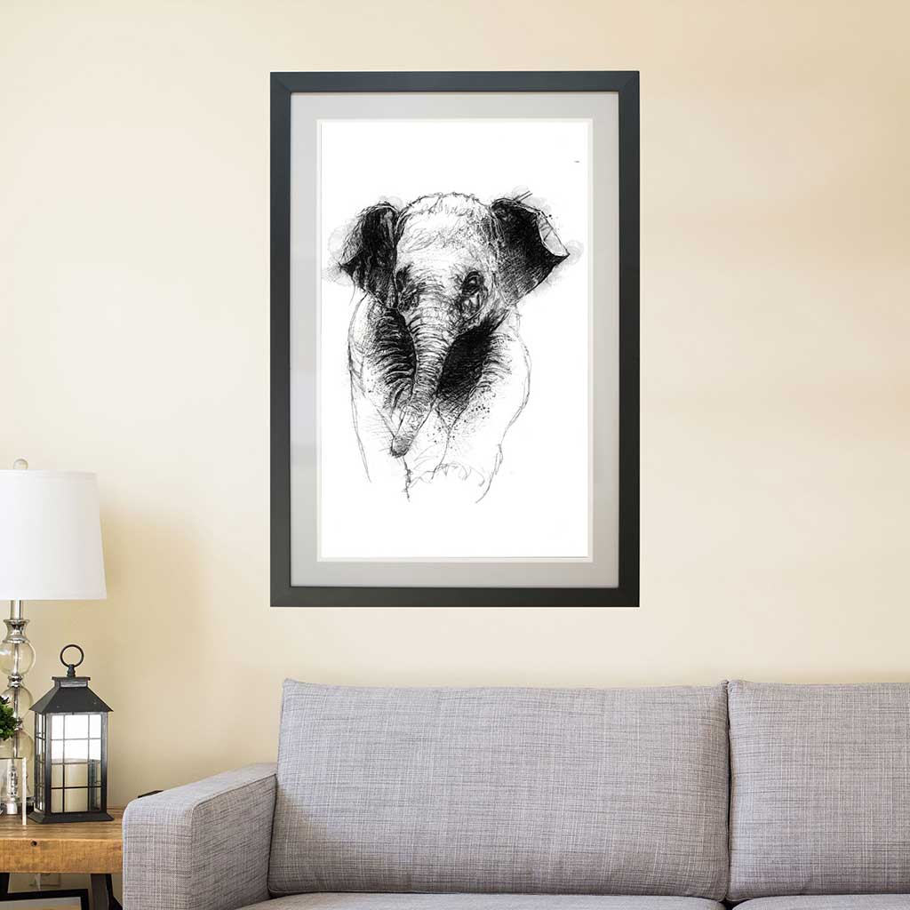 Baby elephant