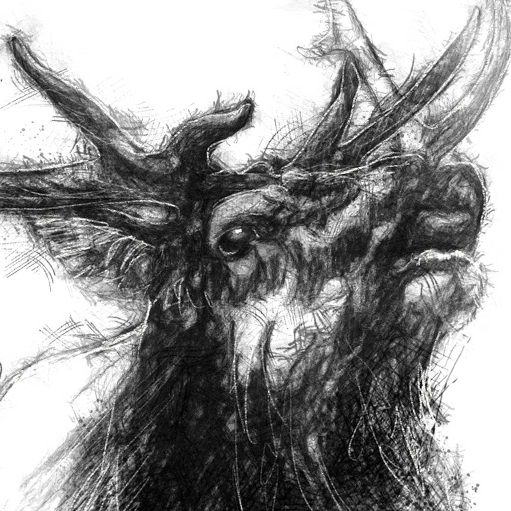 Elk stag