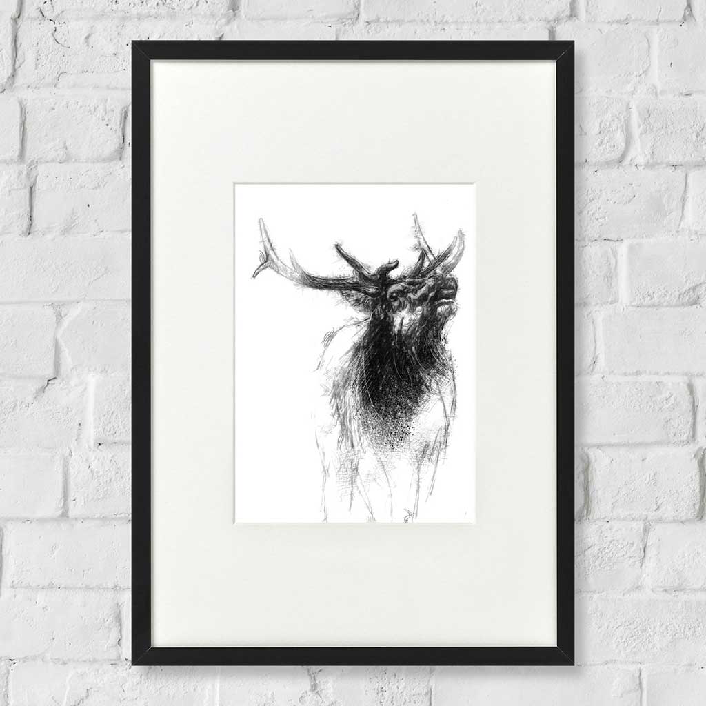 Elk stag