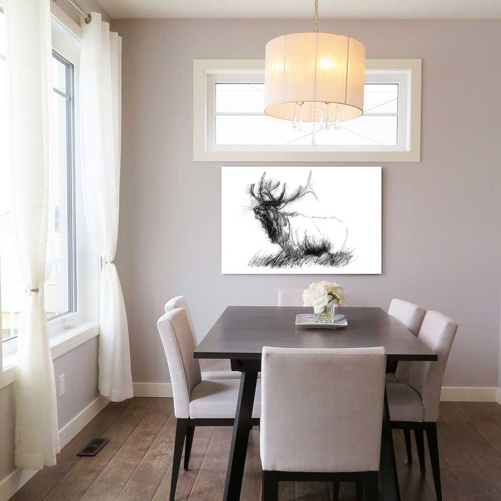 Bull elk