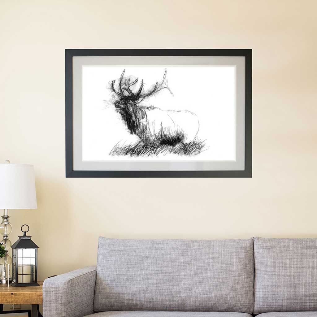 Bull elk