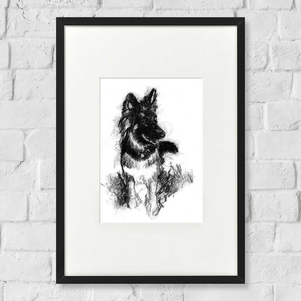 German Shepherd
