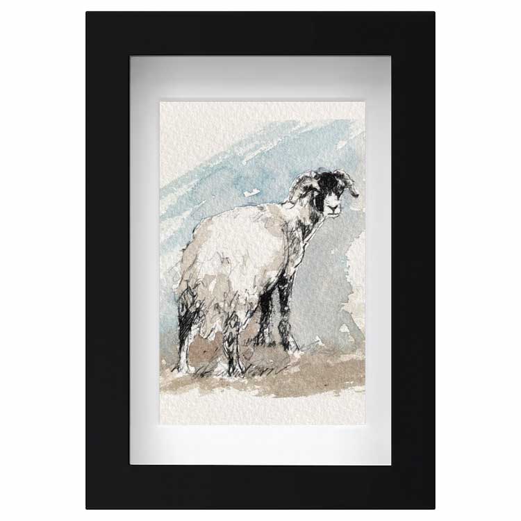 Ewe sheep original mini sketch
