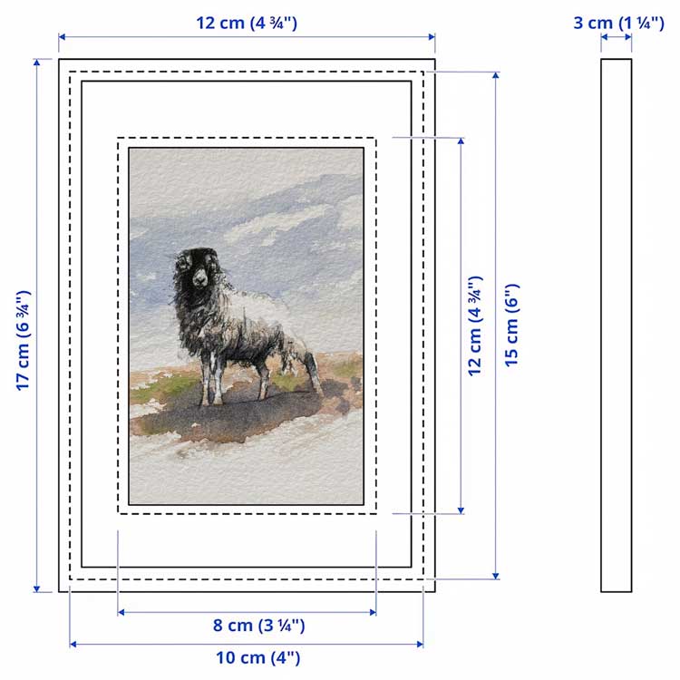 Moorland ewe mini sketch