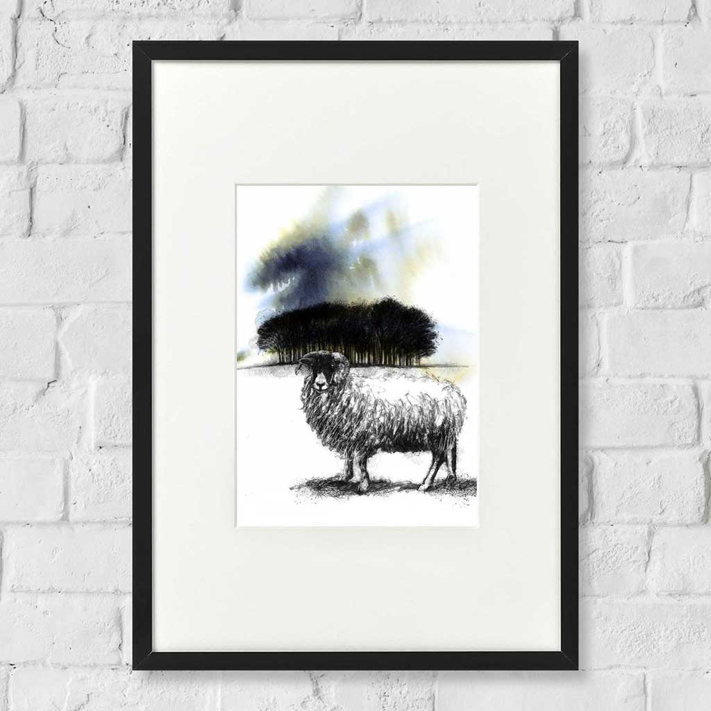 Copse ewe