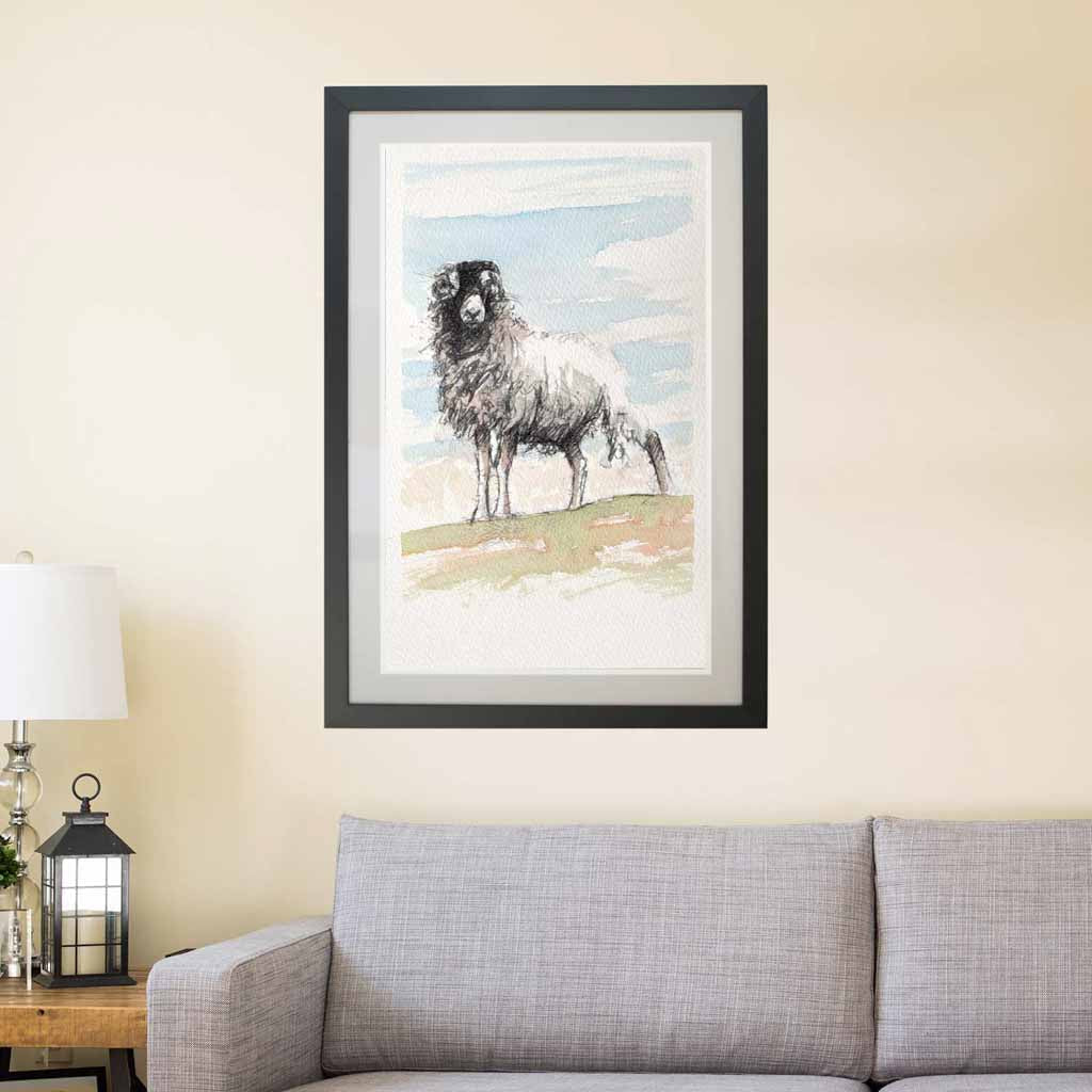 Moorland ewe sketch