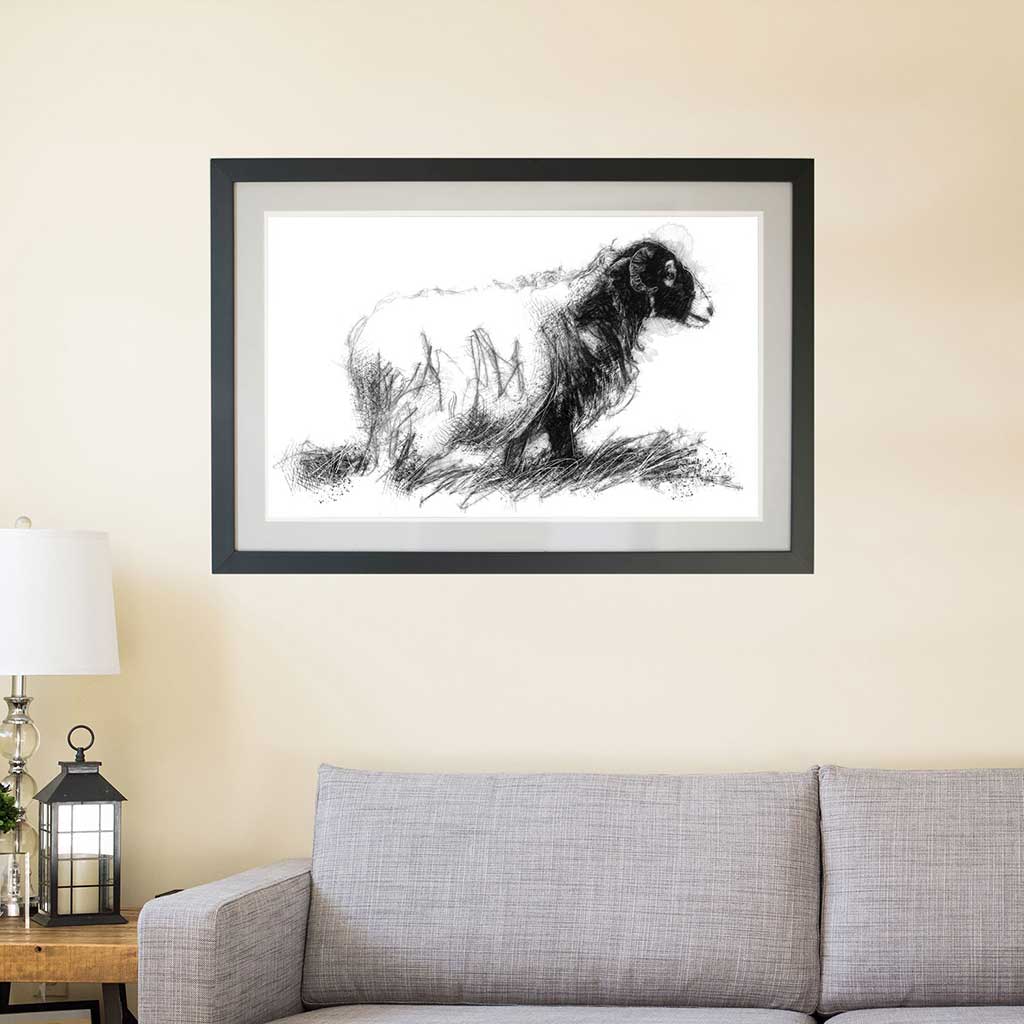 Lone ewe