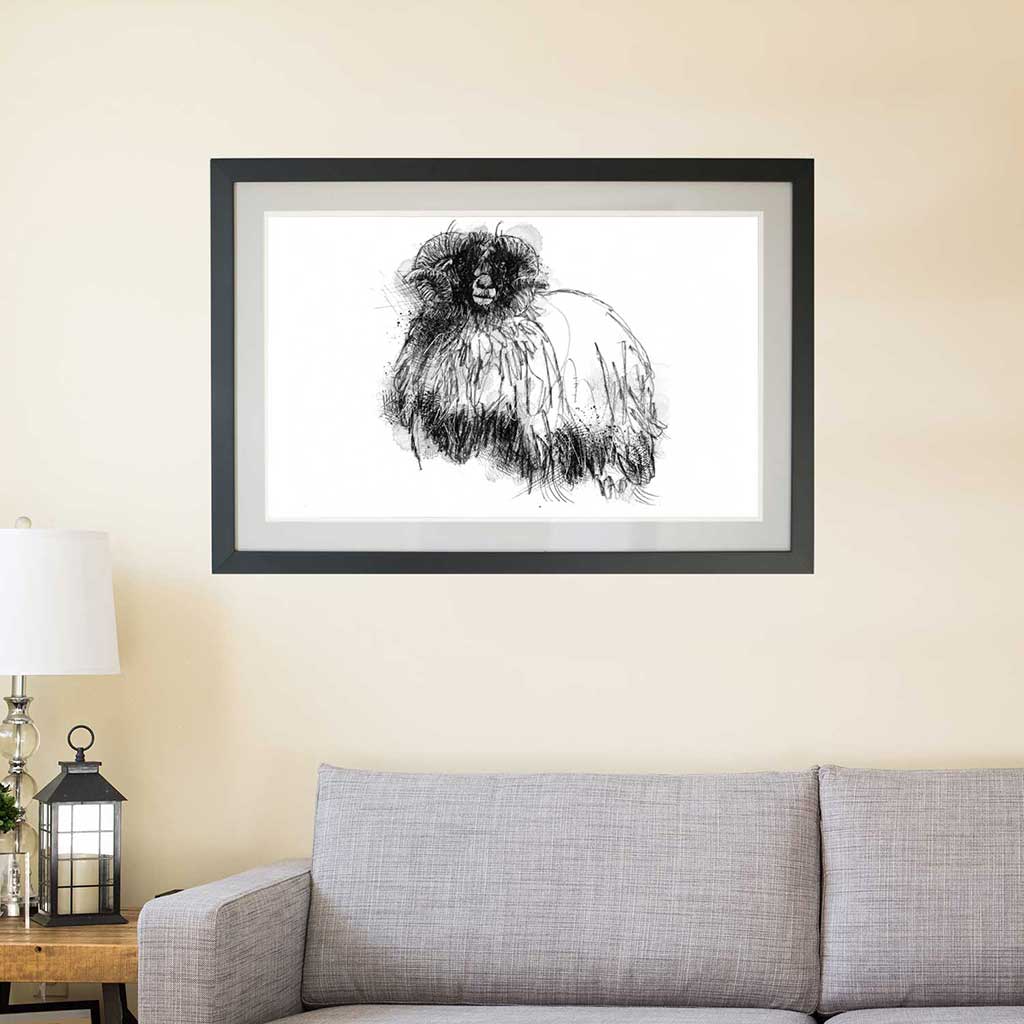 Woolly sheep
