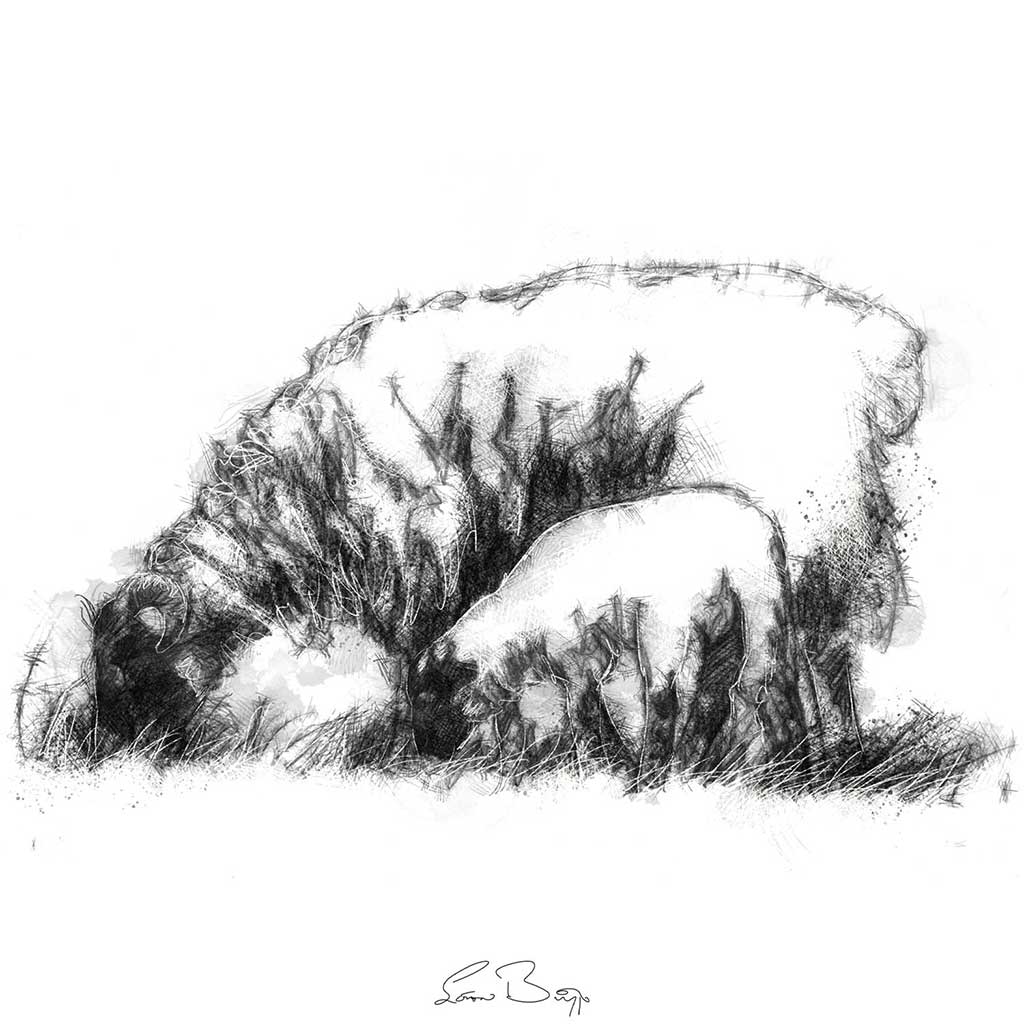 Ewe and lamb