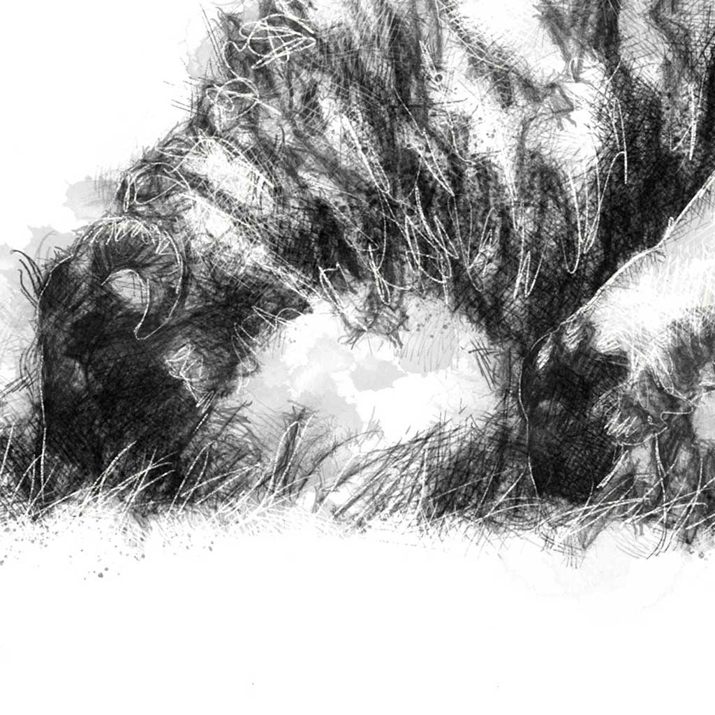 Ewe and lamb