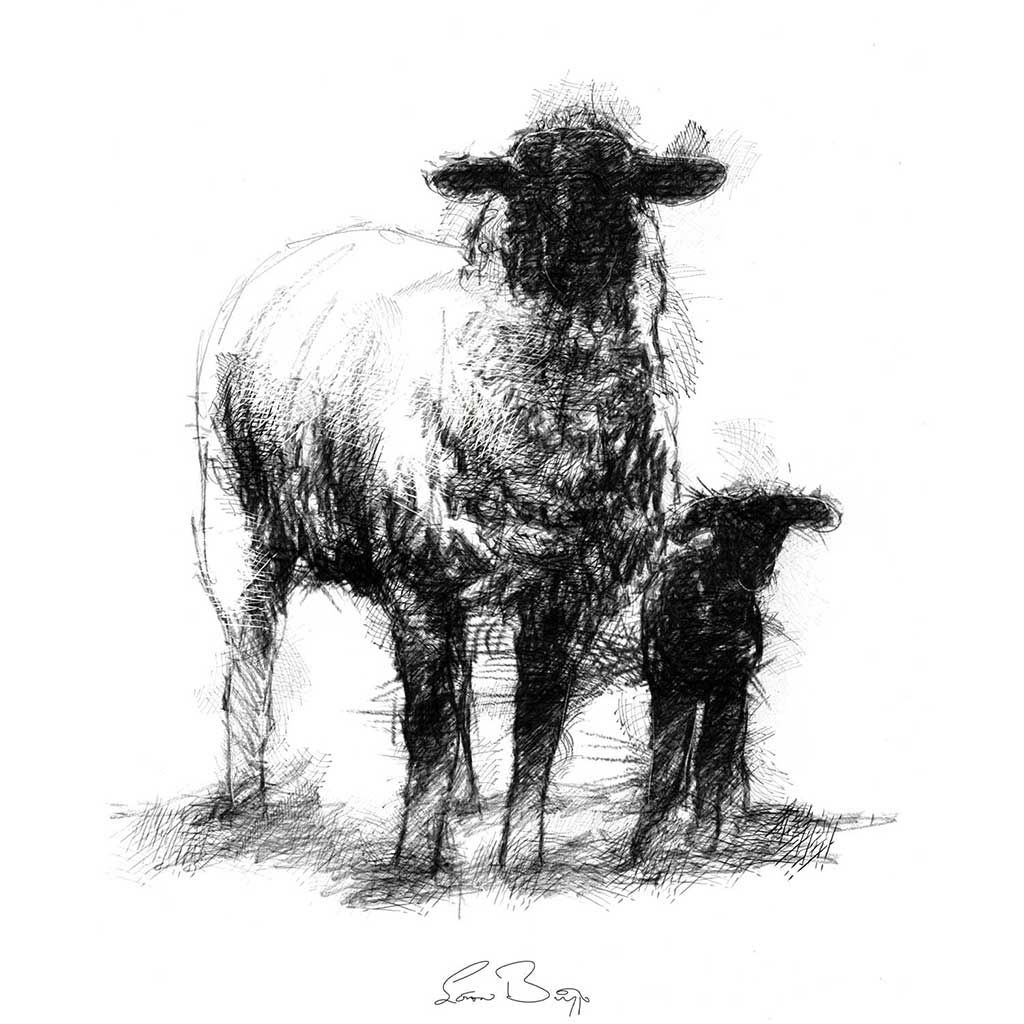 Ewe and lamb