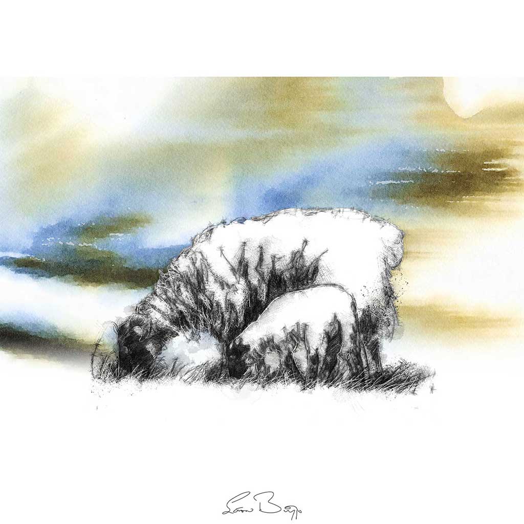 Ewe sky