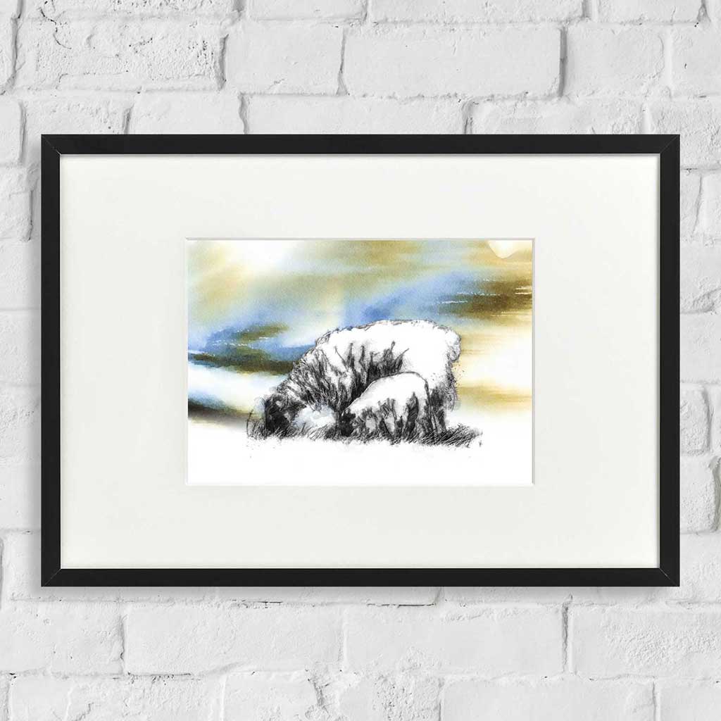 Ewe sky