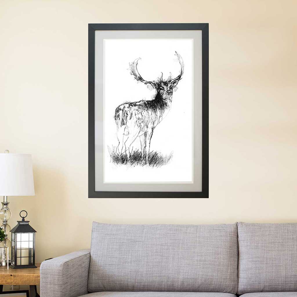 Fallow deer