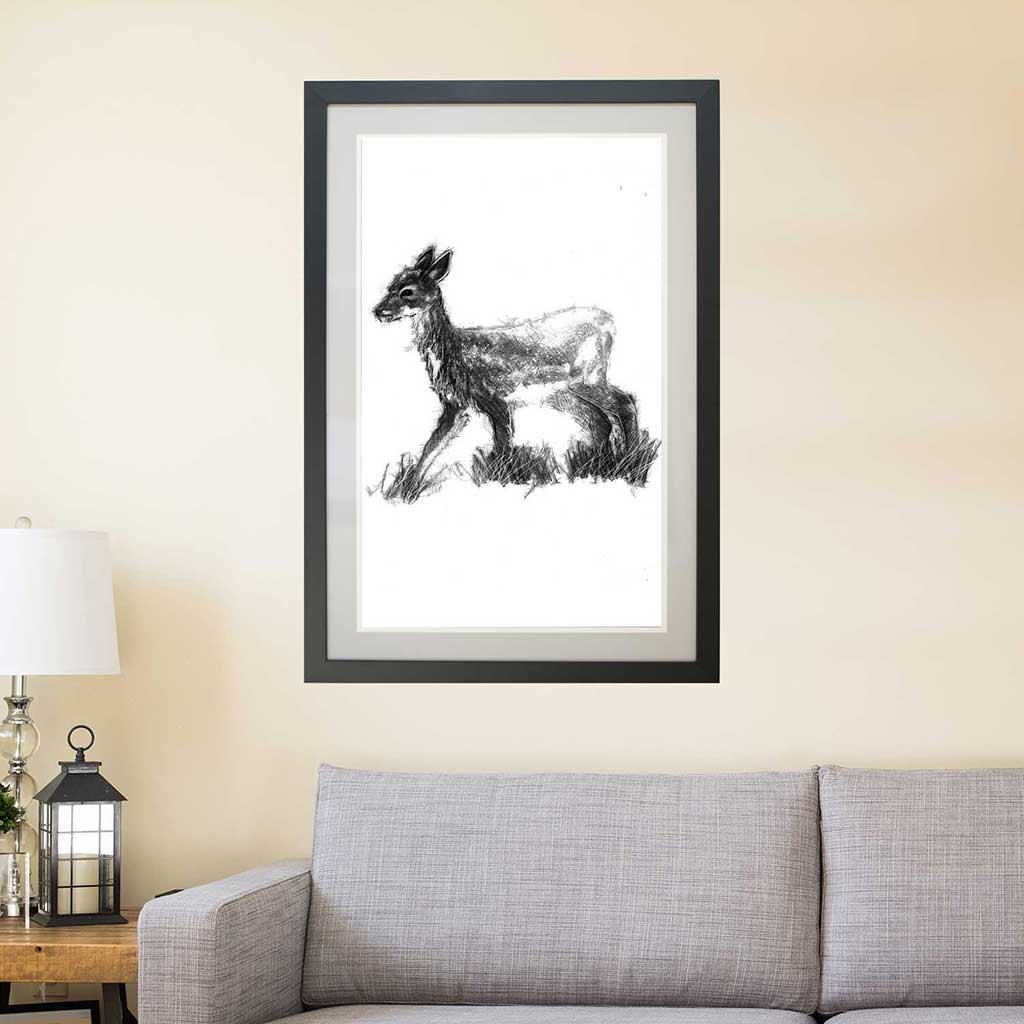 Fallow deer fawn