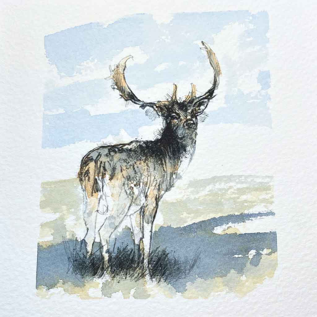 Fallow stag original mini sketch