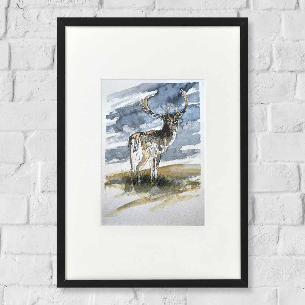 Fallow deer stag