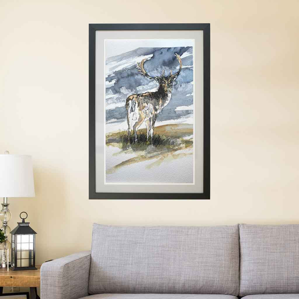 Fallow deer stag