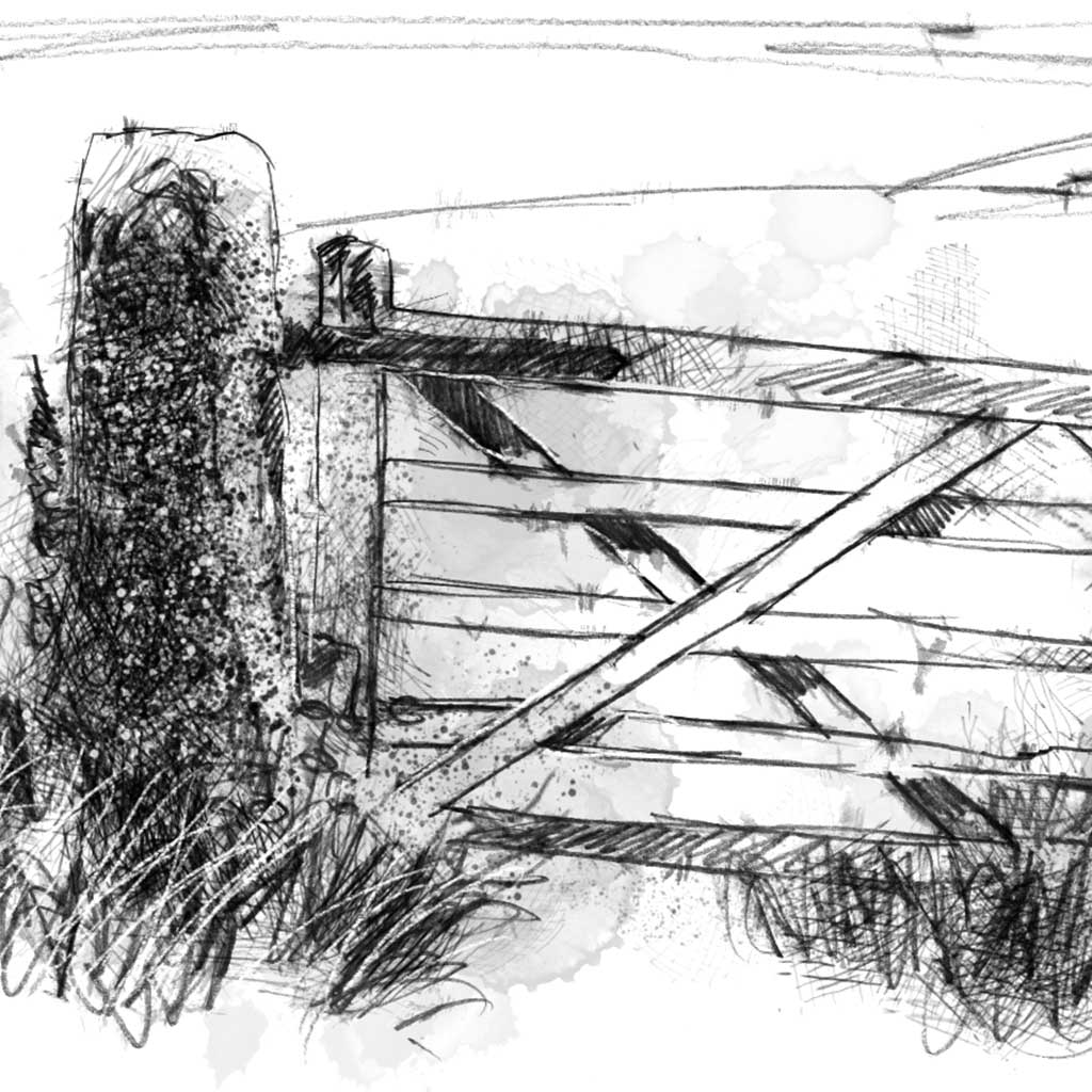 Old farm gate - BW Sketch