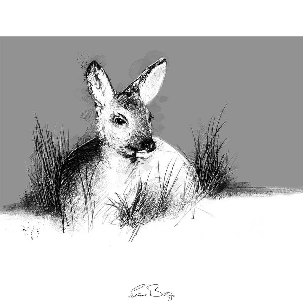 Fawn settled