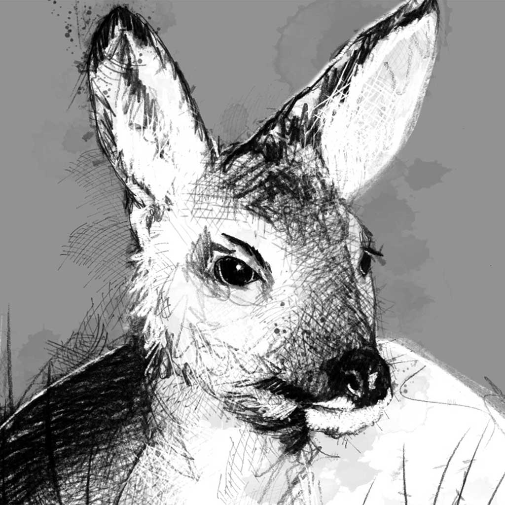 Fawn settled