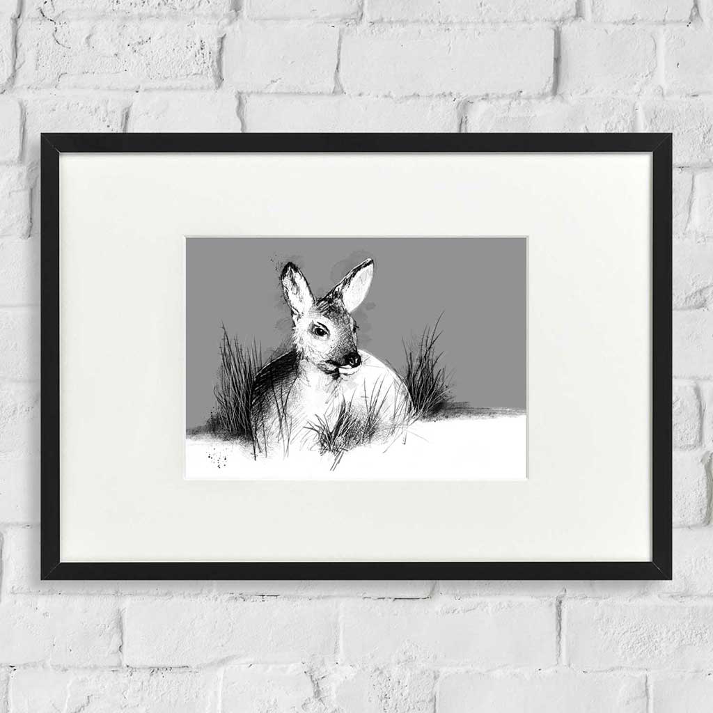 Fawn settled