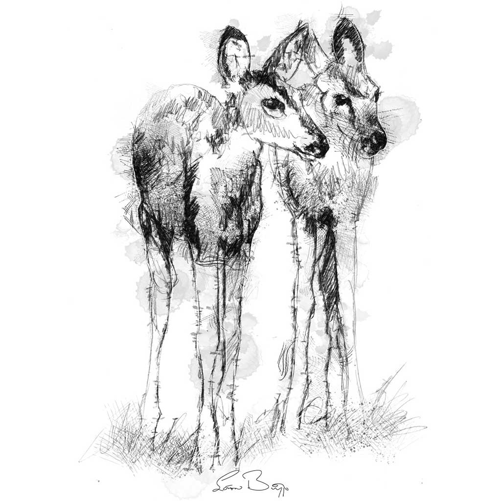 fawns