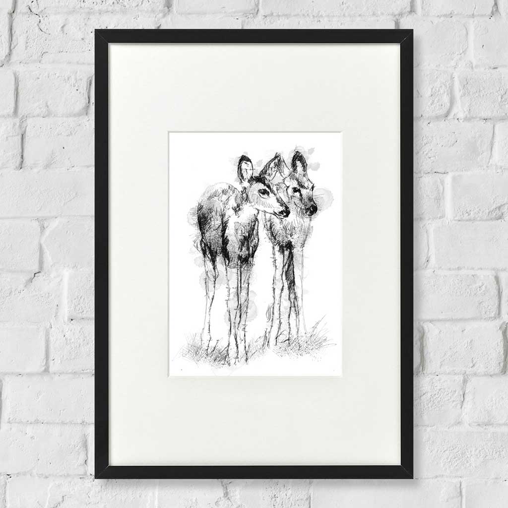fawns