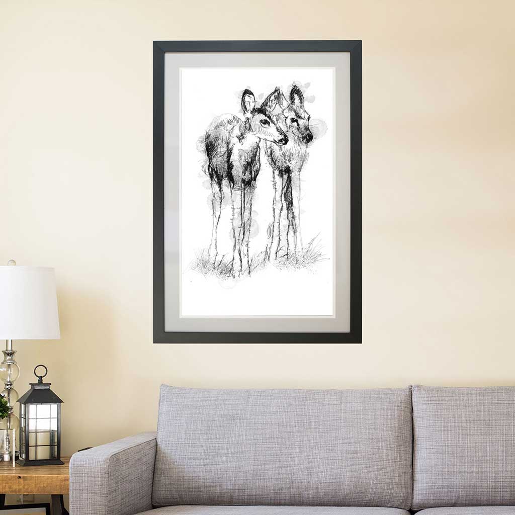 fawns