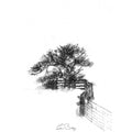 Snowy fence