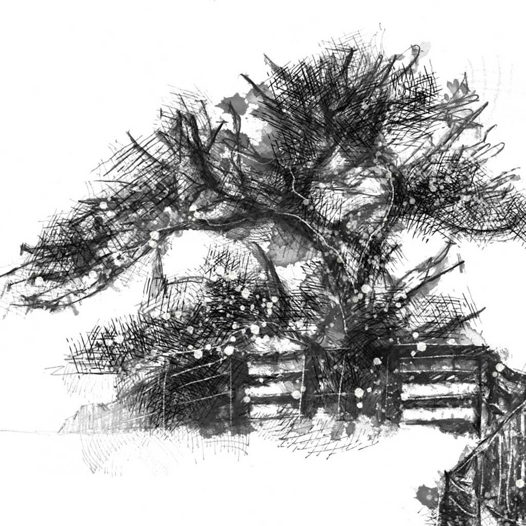Snowy fence