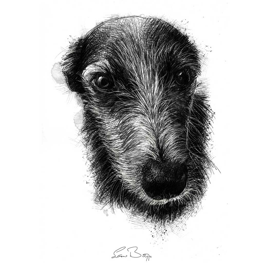 Pet portrait