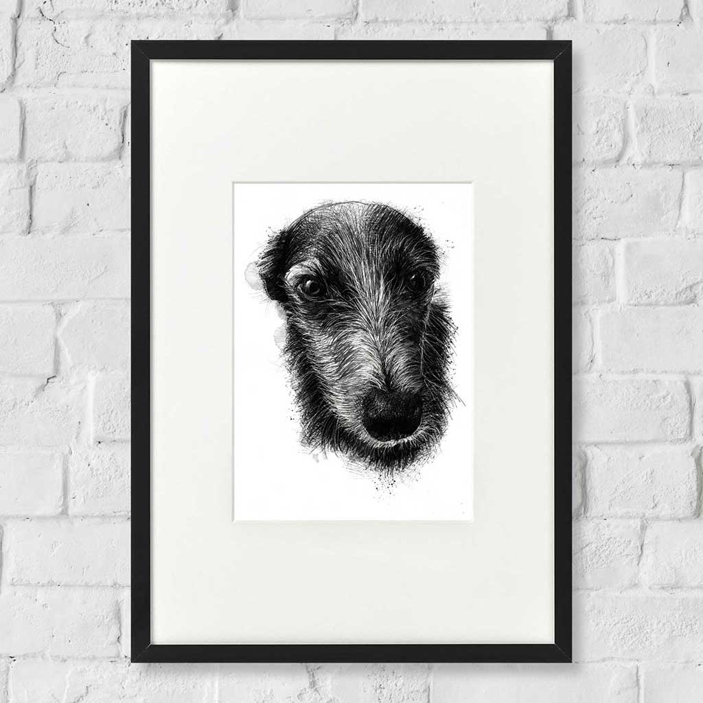 Pet portrait