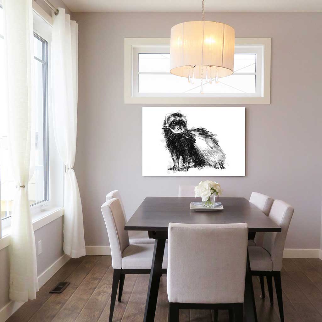 Ferret