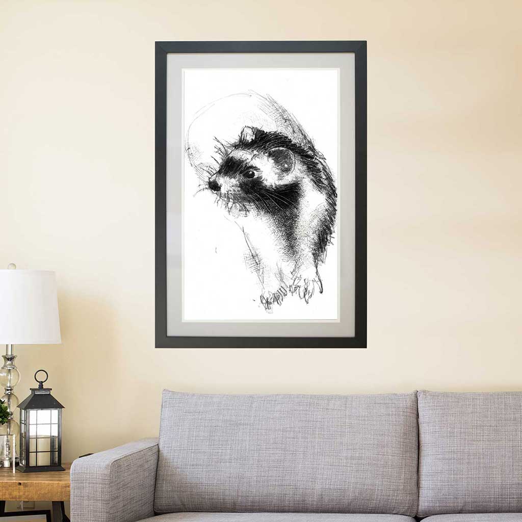 Ferret