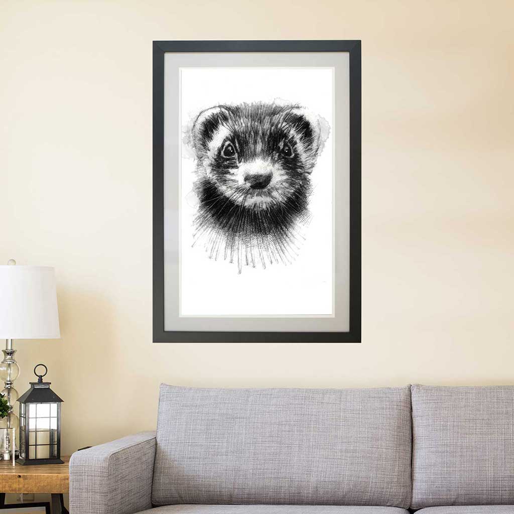 Ferret