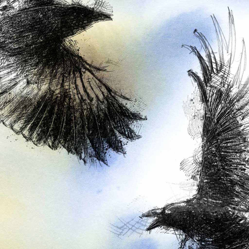 Crow flight