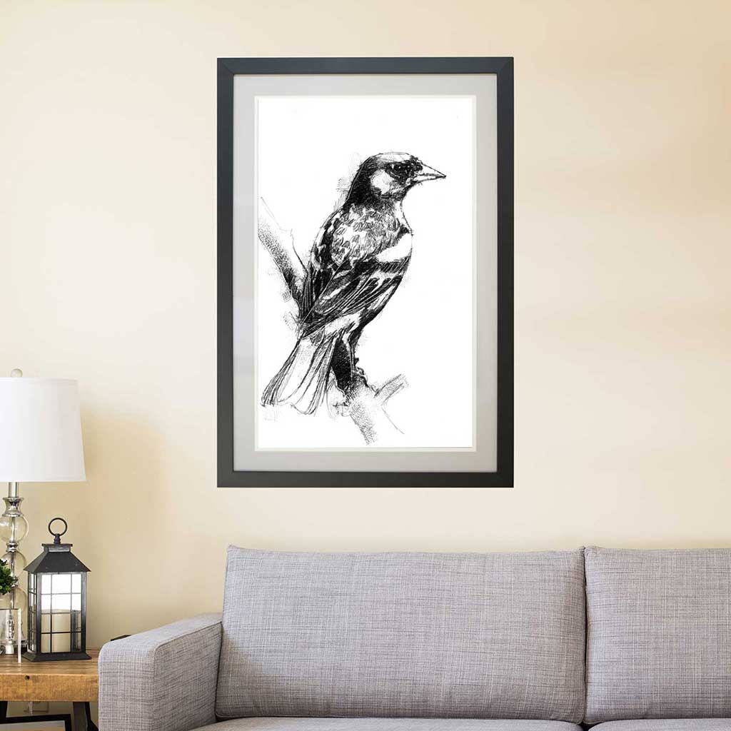 Finch