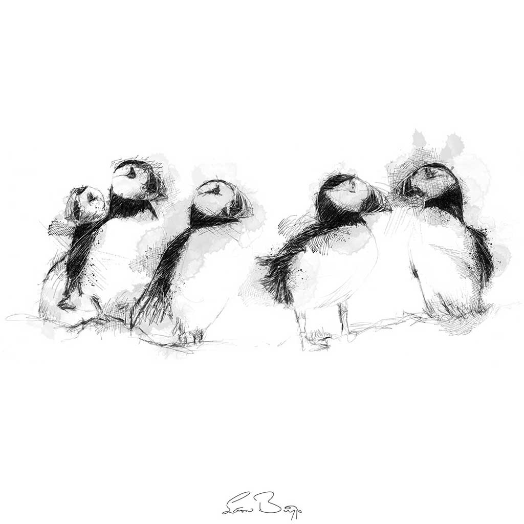 Five puffins