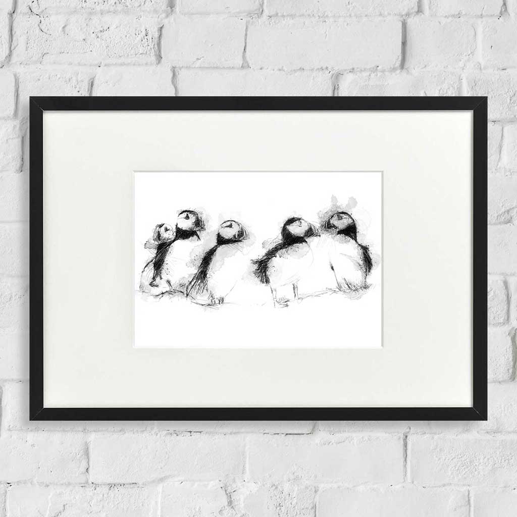 Five puffins