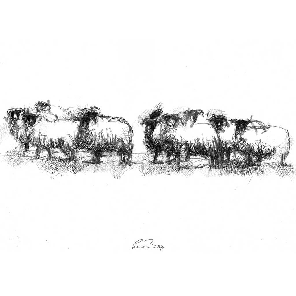 Sheep flock